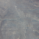 One of the Nazca Lines in Peru said to represent a hermit, a type of hummingbird.